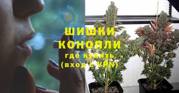 дурь Алзамай