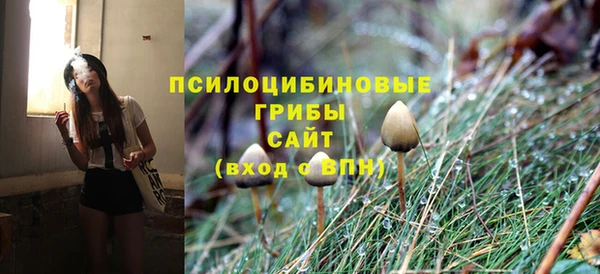 мдпв Россошь