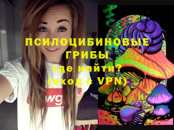 spice Алексеевка