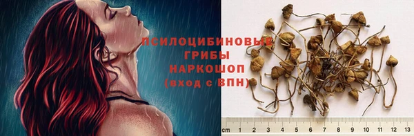 МДПВ Арсеньев