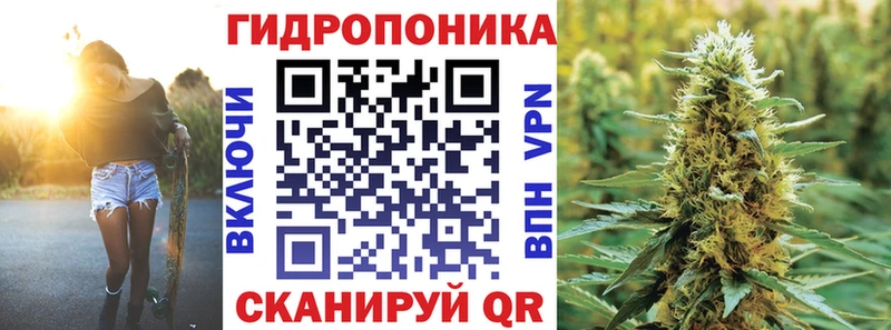 Конопля планчик где можно купить Чапаевск